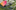 Störer Ehrenkirchen Thumbnail 1