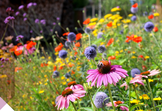 Wohnquartier Im Rebgarten